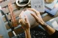 Vital Spirit