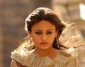 sania raza