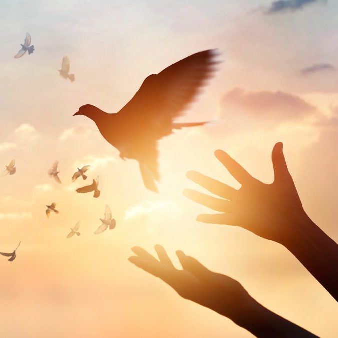 HOPE ANGEL2004